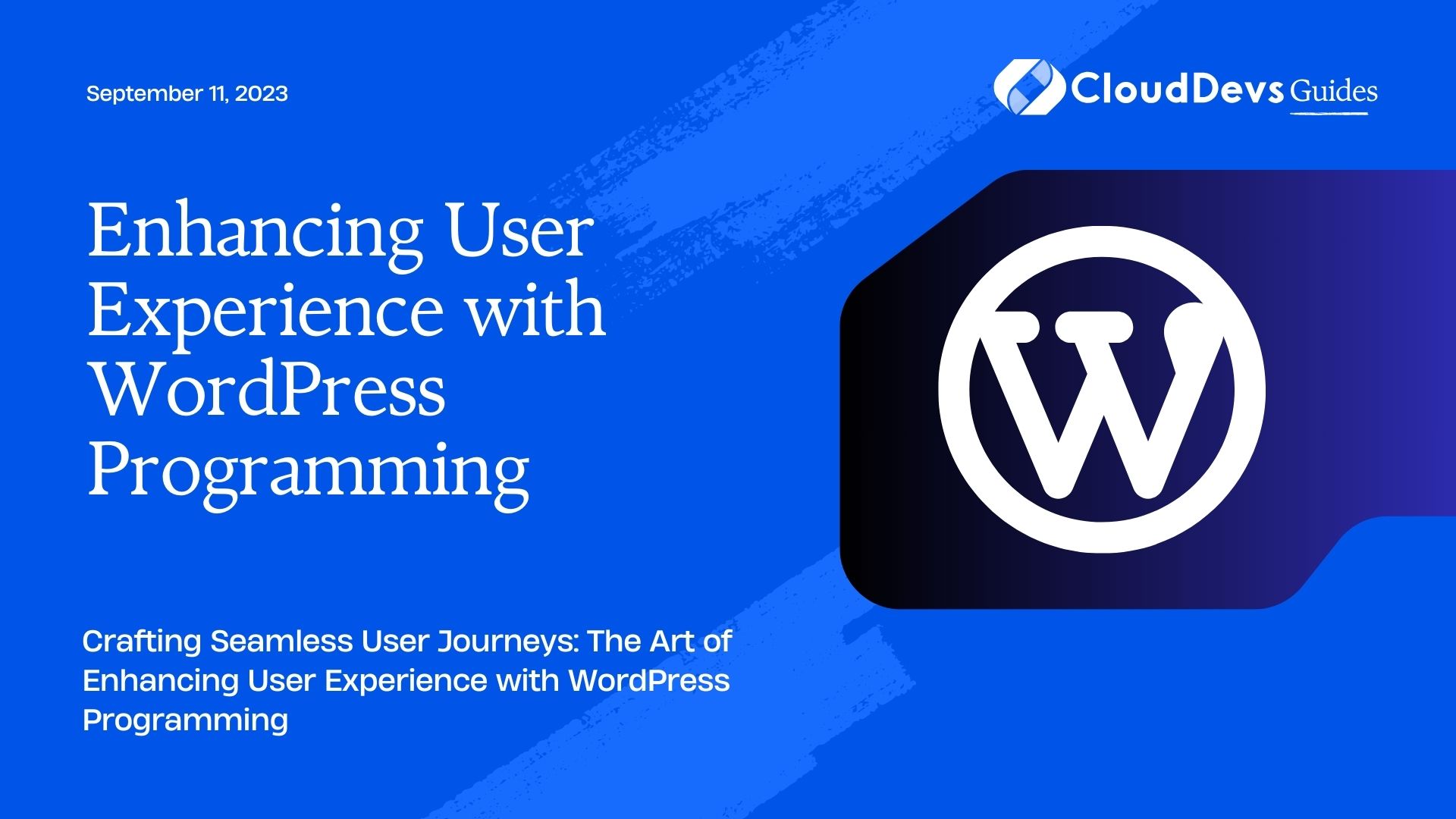 Enhancing User Experience with WordPress Programming