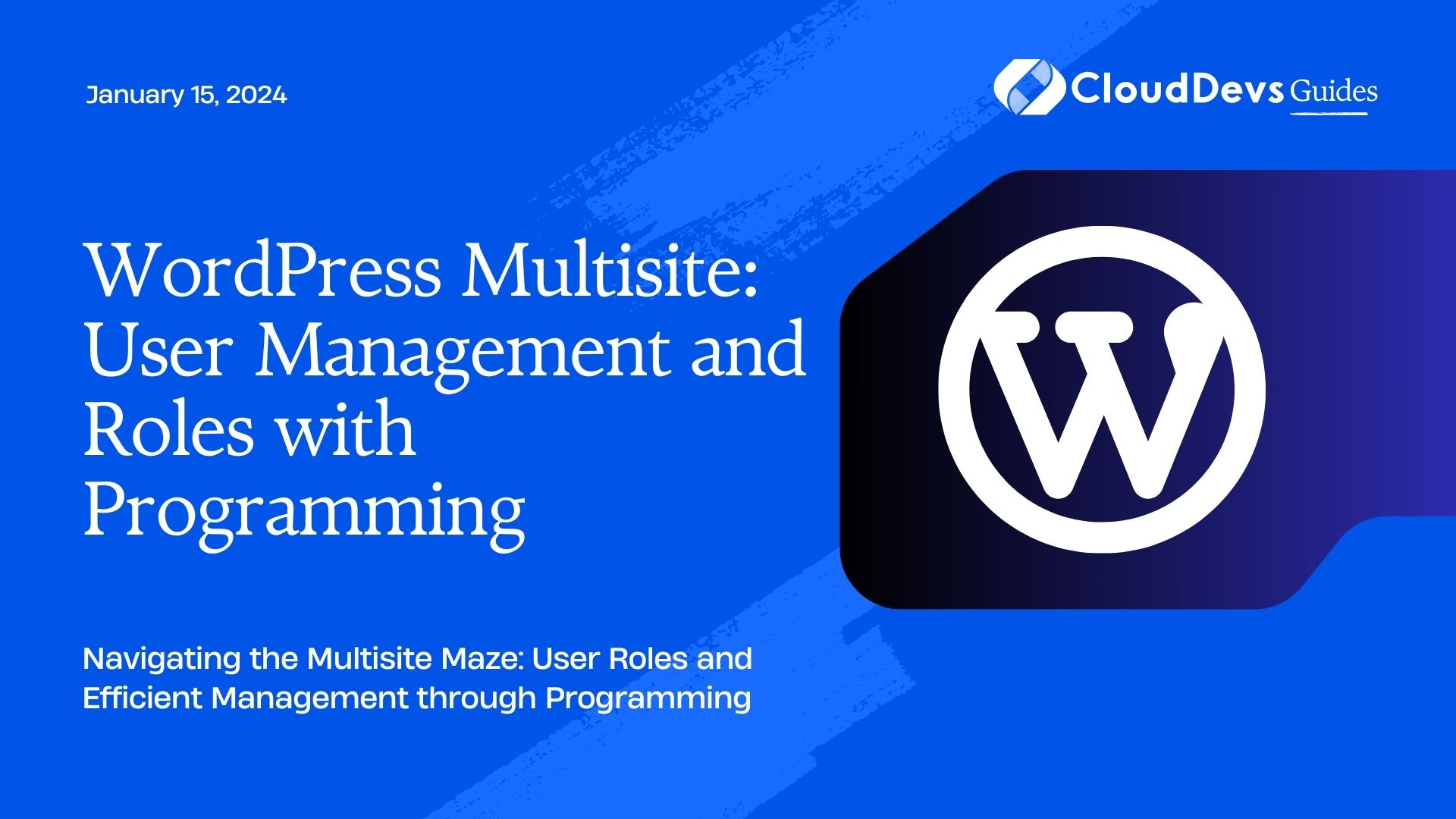 WordPress Multisite: User Management and Roles with Programming