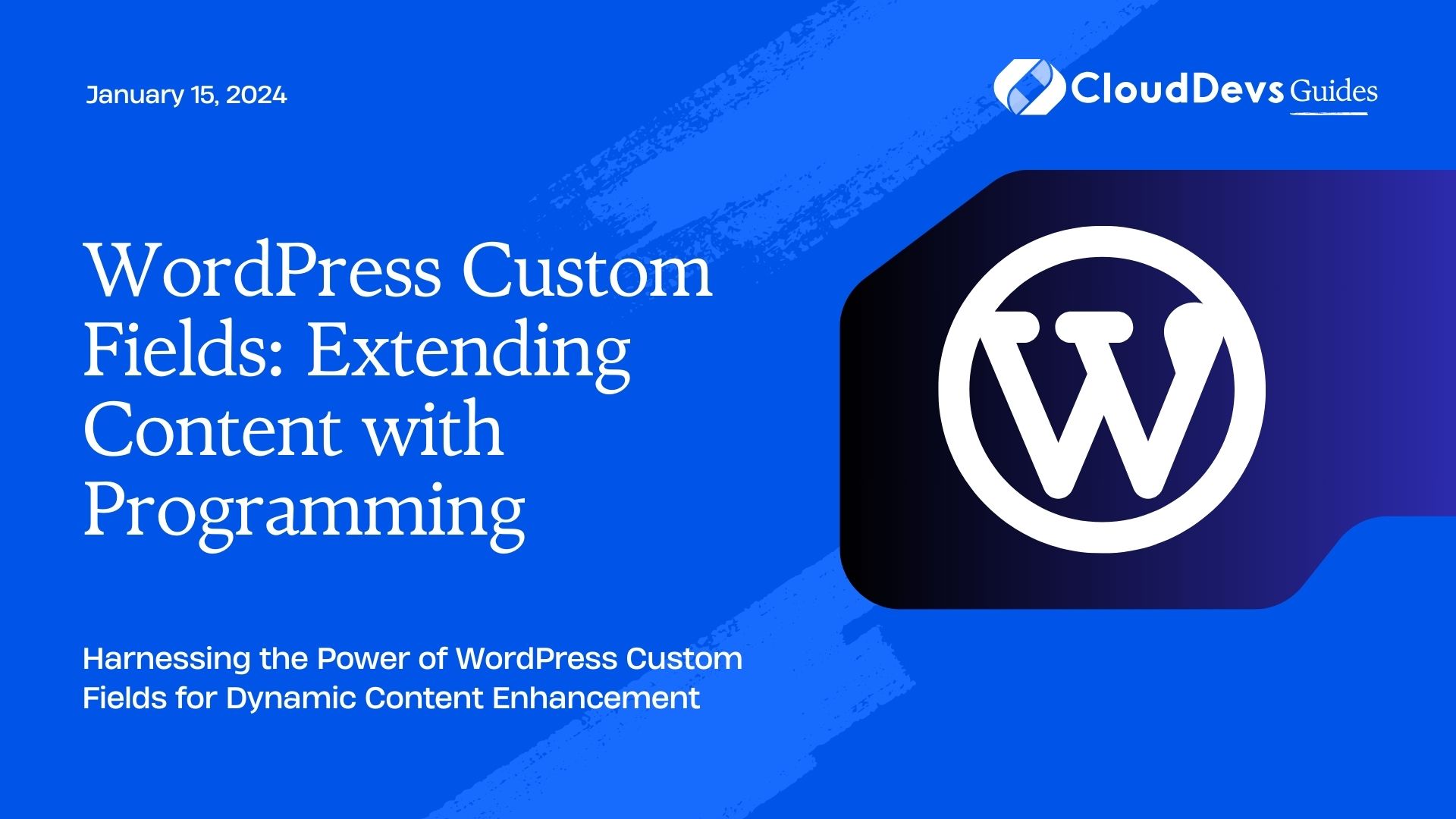 WordPress Custom Fields: Extending Content with Programming