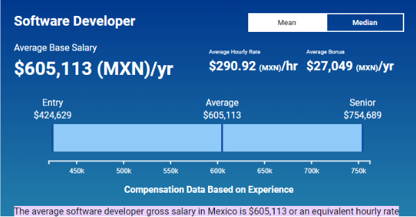 Software Developer Hourly Rates in Mexico