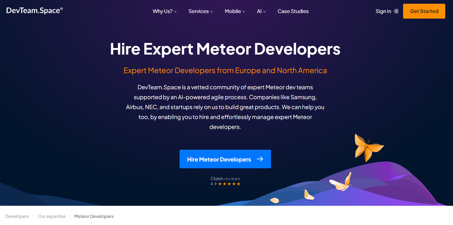 Dev team space - Top 10 Expert Meteor Developers to Hire in 2024