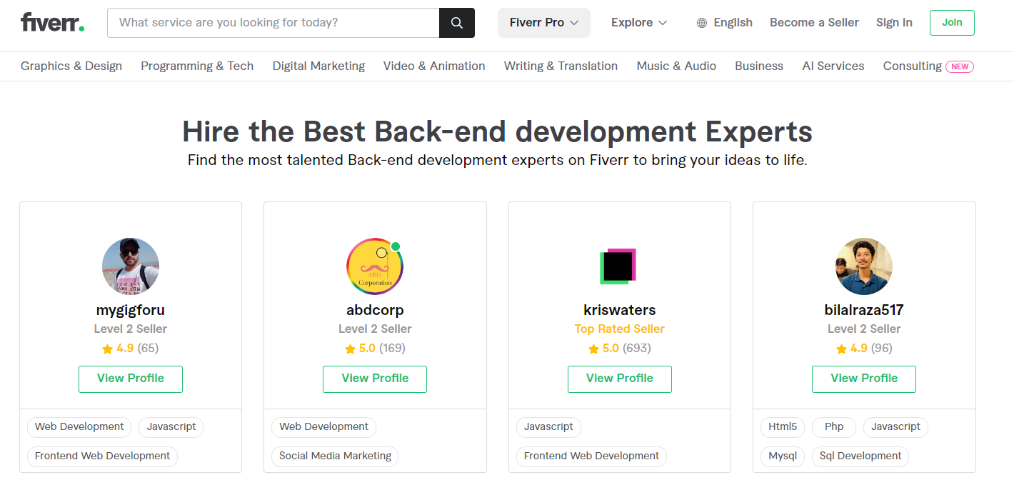 Fiverr- Fast, Affordable Backend Brilliance for Specific Needs
